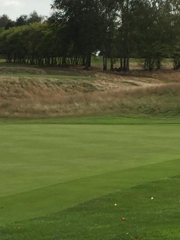 Holes for Heroes, 24 août 2020_150