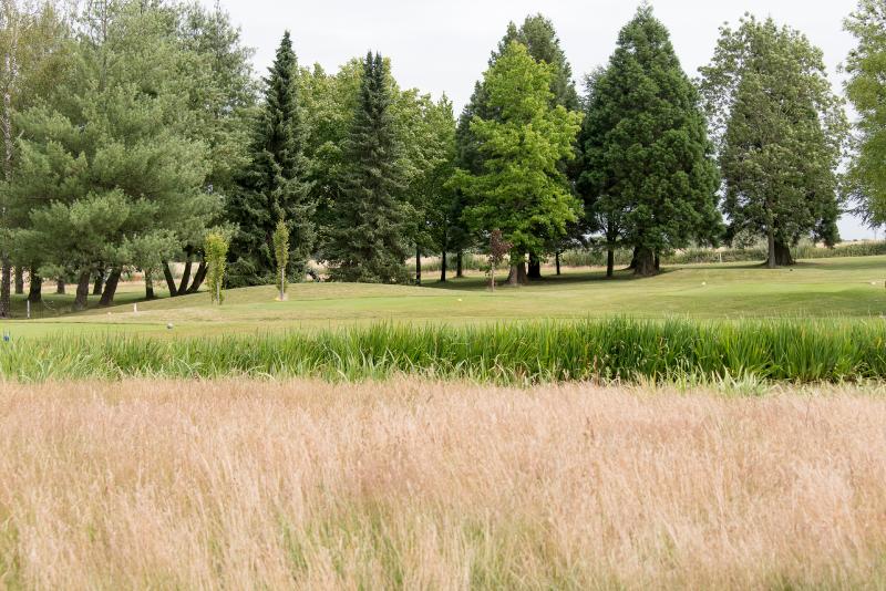 Summer Cup offerte par le comité des fêtes_40