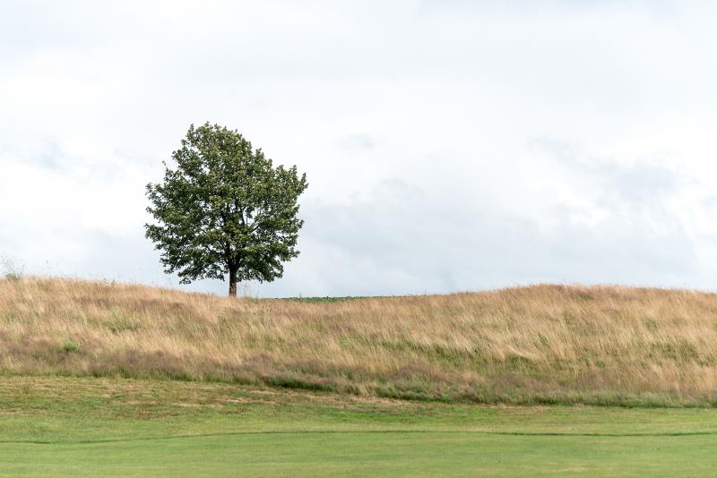 Summer Cup offerte par le comité des fêtes_67