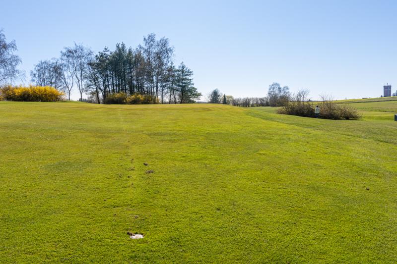 Travaux de mars 2020_11