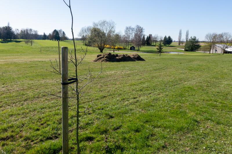 Travaux de mars 2020_16