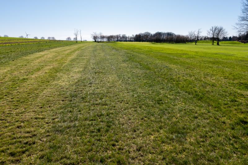 Travaux de mars 2020_19